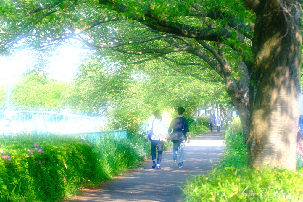 散歩道・・・・
