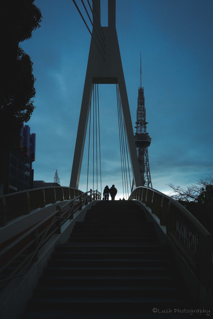 未来への架け橋・・・・・