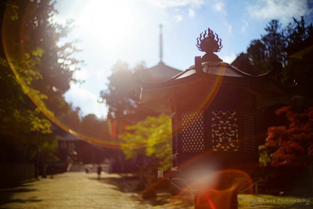 壇上伽藍・・・・