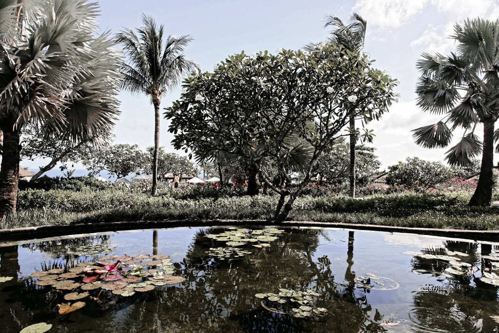 Bali　014