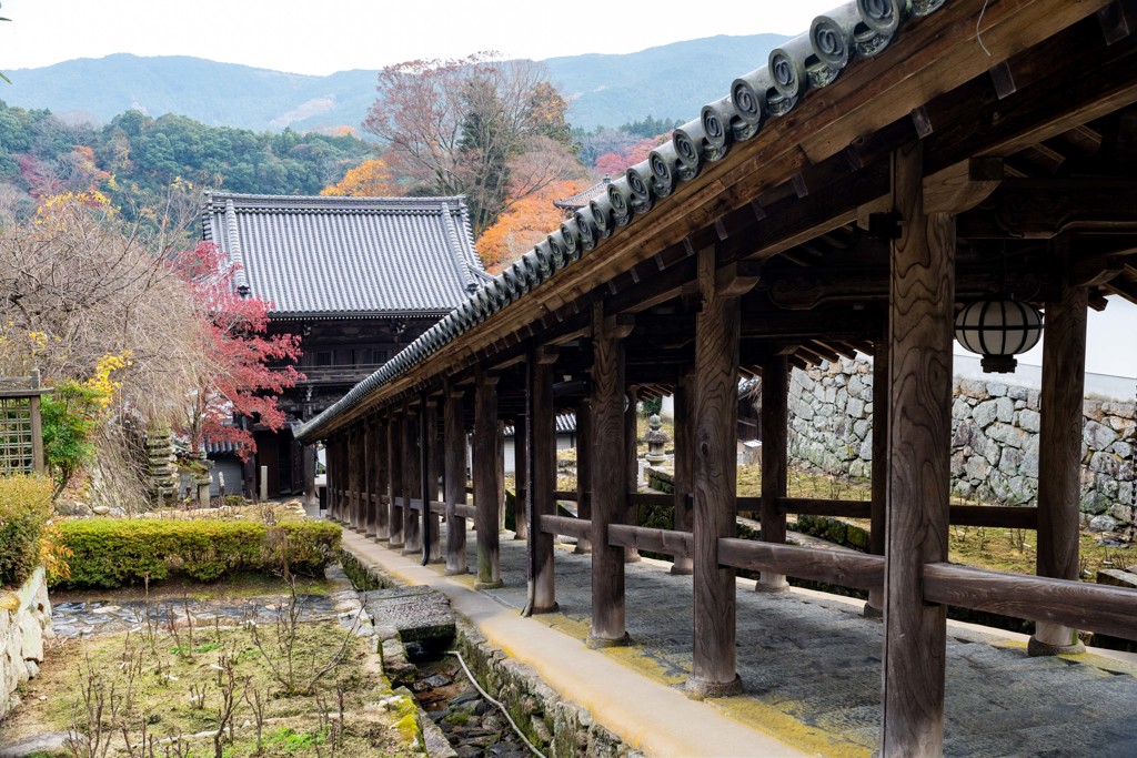 長谷寺　伽藍