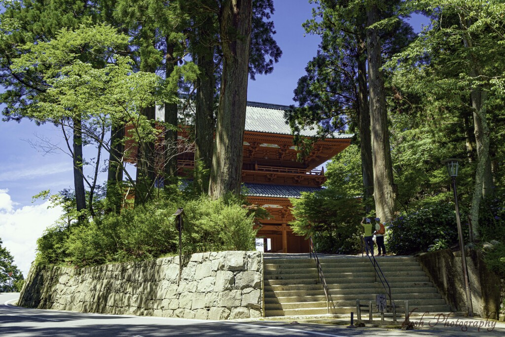 高野山　重要文化財　大門