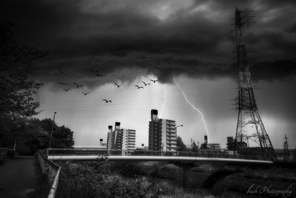 雷鳴・・・