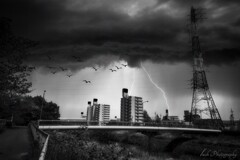 雷鳴・・・
