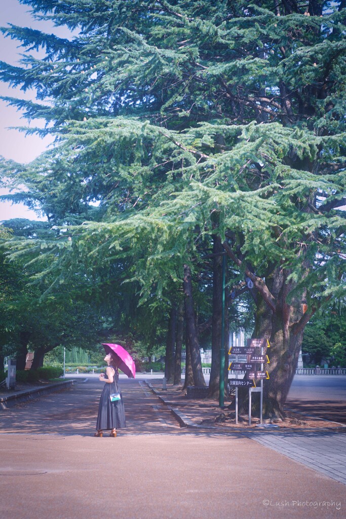 鶴舞公園・・・