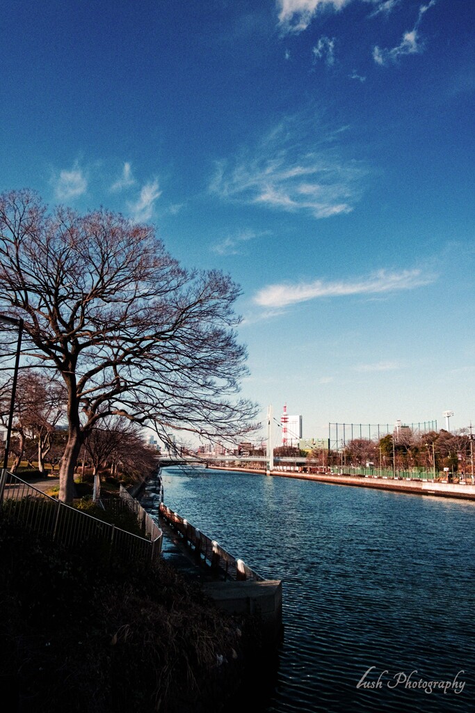 堀川・・・