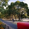 ポストがある情景