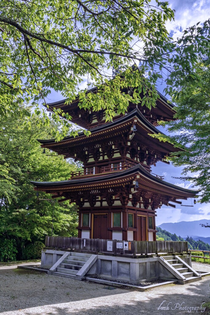 岡寺　三重塔