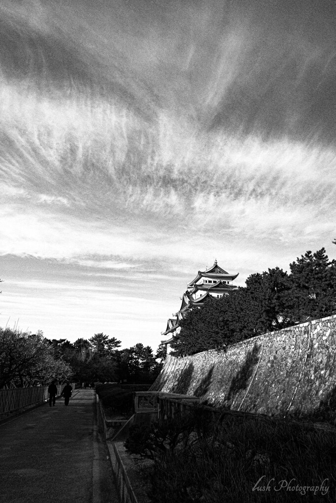 名古屋城・・・