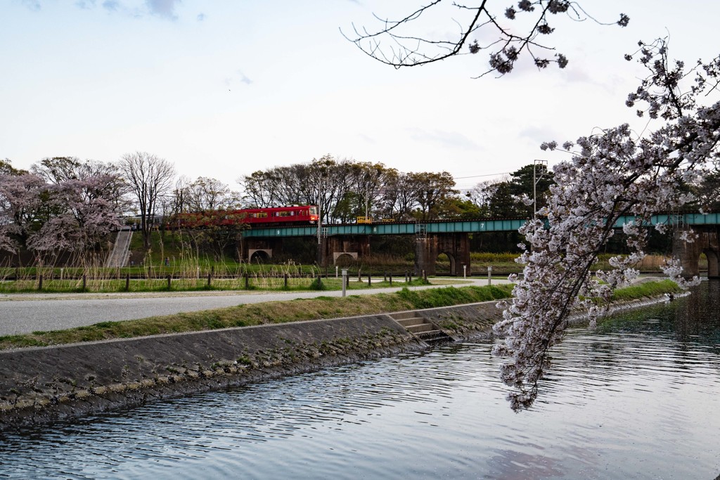 岡崎公園にて