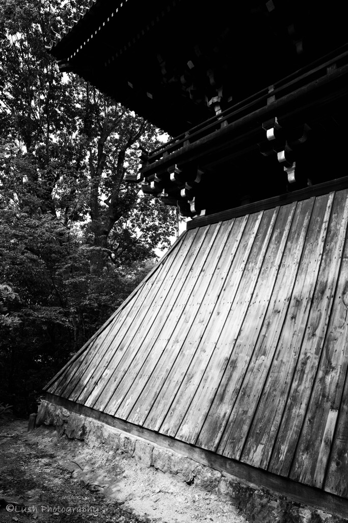 南禅寺にて・・