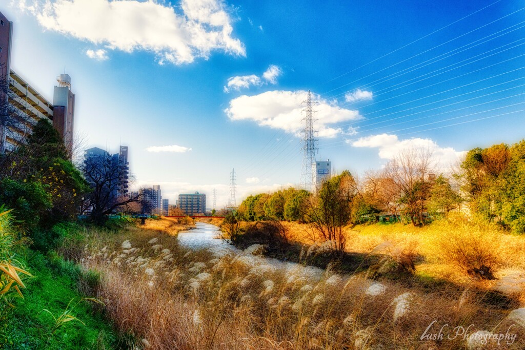 今日の散歩道・・・