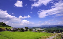 奈良盆地を望む
