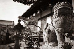 隅田八幡神社