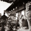 隅田八幡神社