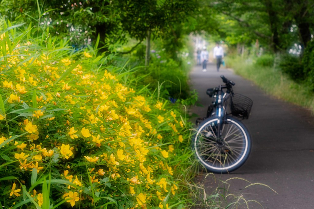 路傍の花・・・・