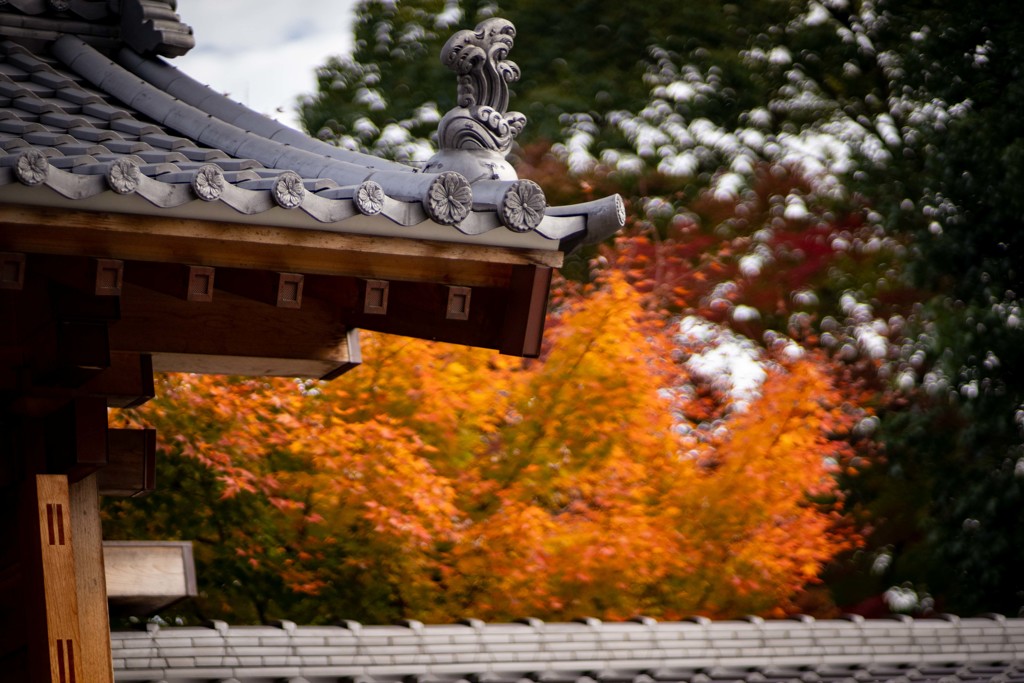 塩竈神社の秋