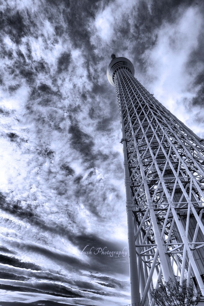 東京スカイツリー