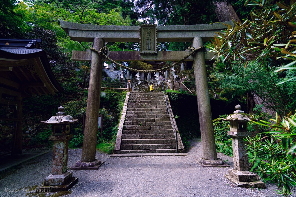 玉置神社　本社・・・