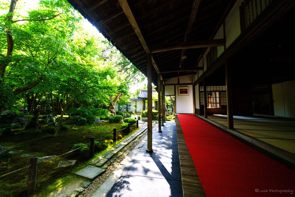 圓光寺・・・・