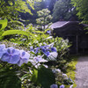 高野山普門院にて・・・