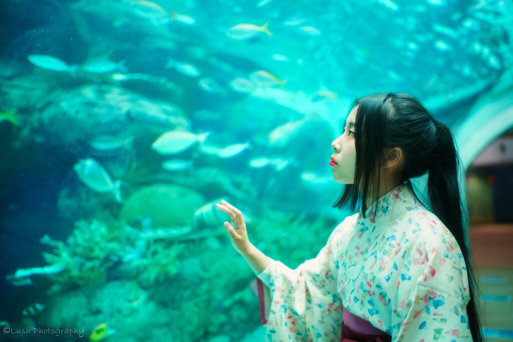 名古屋港水族館にて・・・・