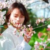 桜ポートレート・・・