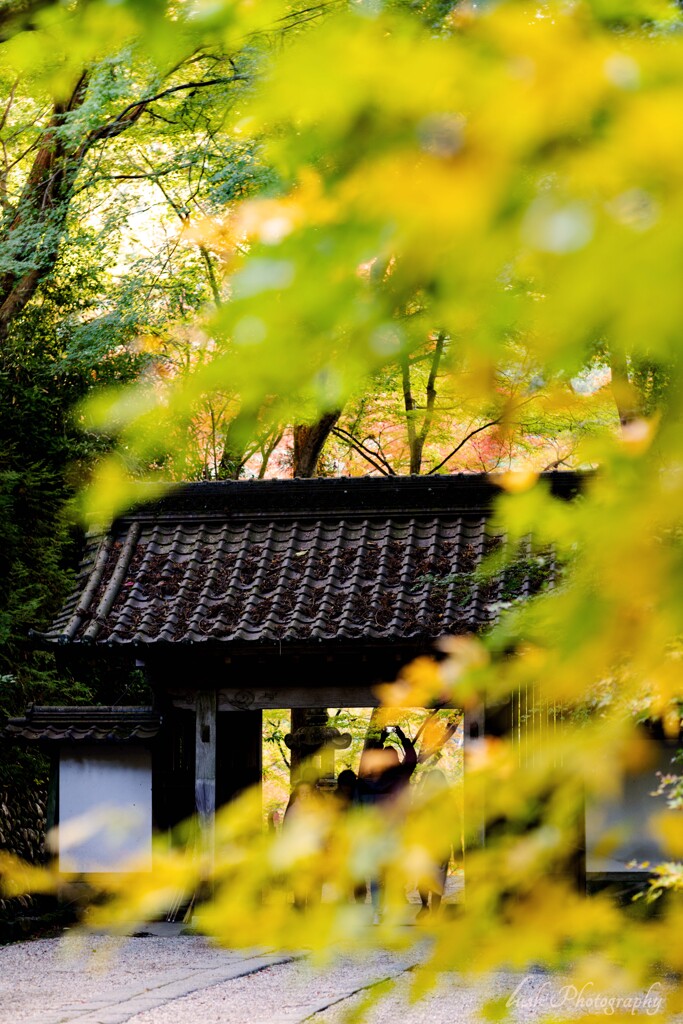 香嵐渓　香積寺三門・・・
