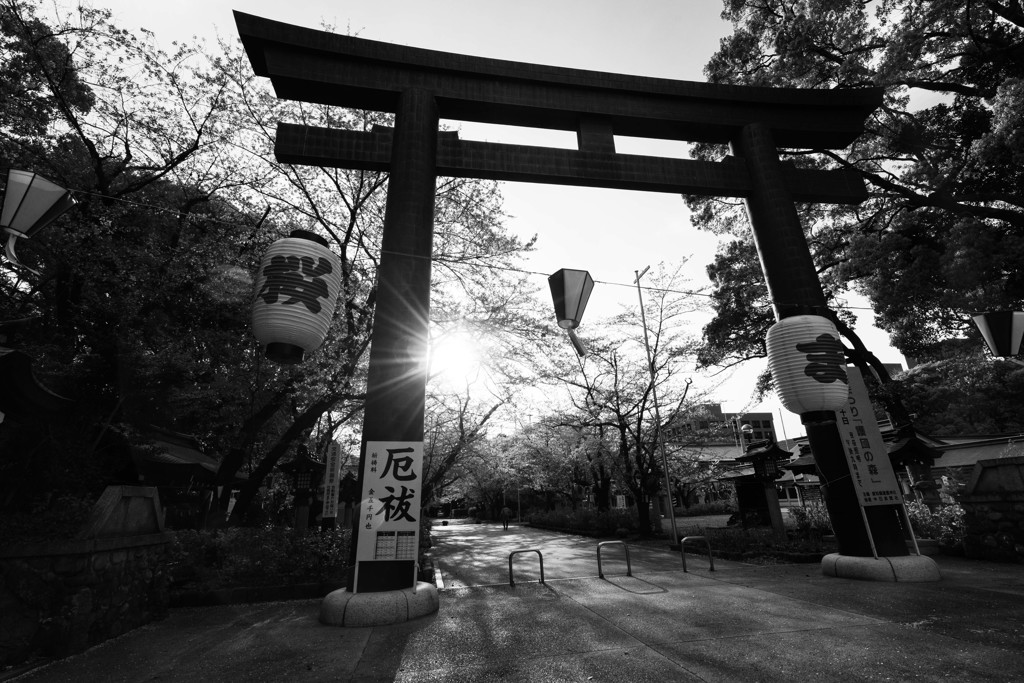 愛知縣護國神社