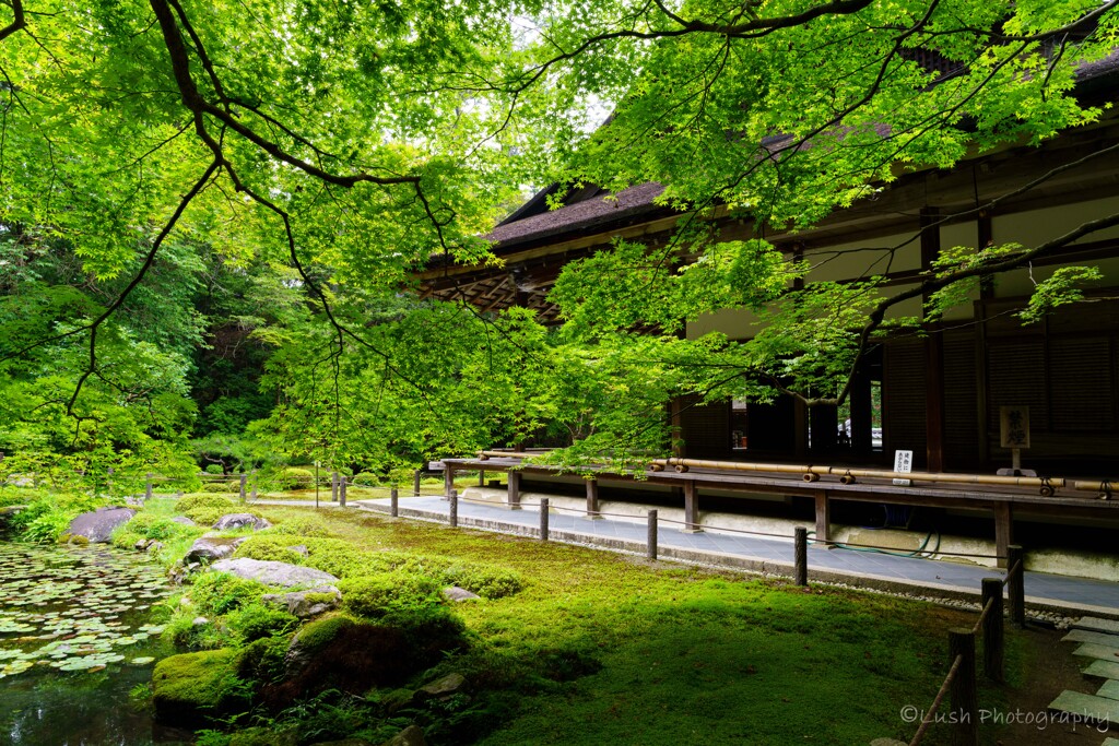 南禅寺にて・・