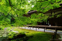 南禅寺にて・・