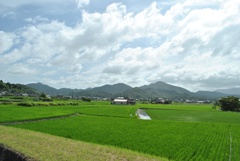 とある田舎町にて