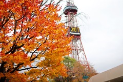紅葉とテレビ塔