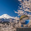 富士山さん