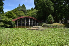 丹生都比売神社