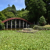 丹生都比売神社