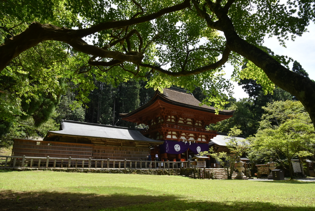 丹生都比売神社