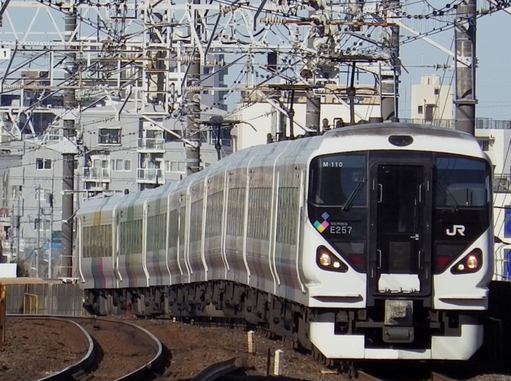 E257系、成田まで行く
