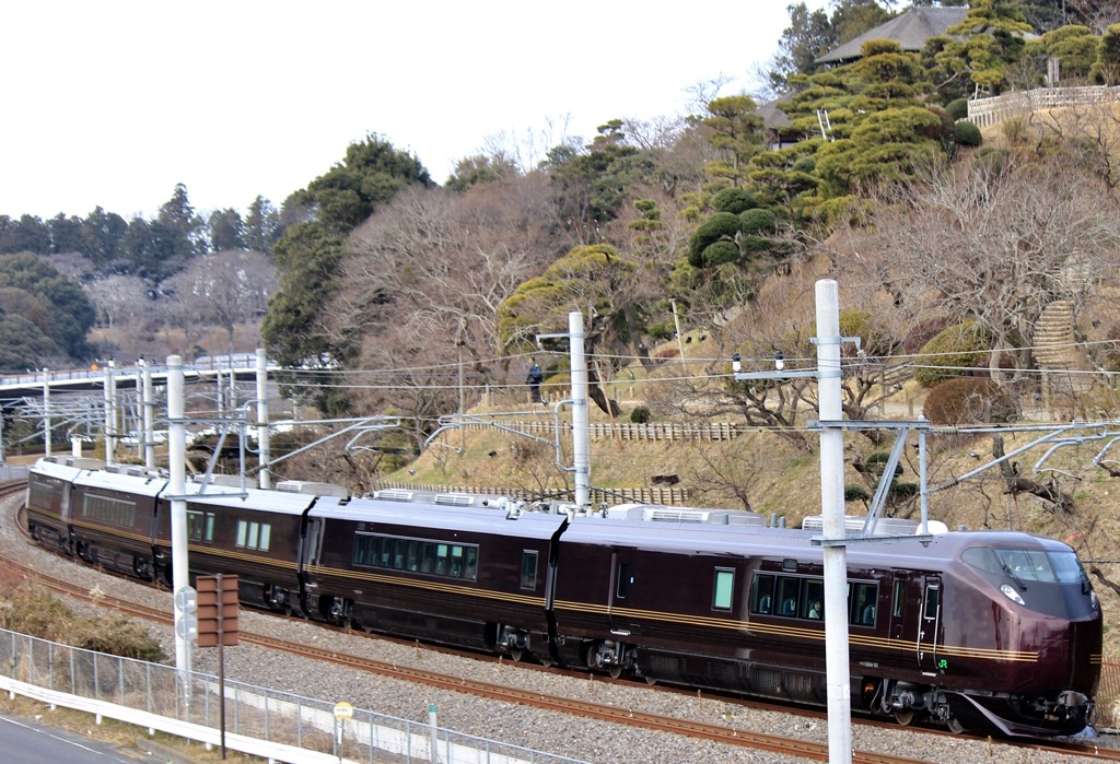 E655系 偕楽園を駆ける 〜ようこそ水戸へ〜