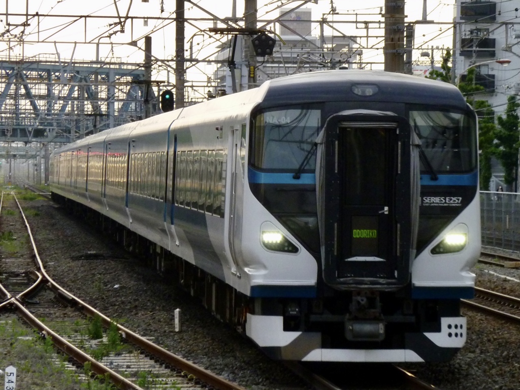 特急踊り子9号池袋行 E257系2000番台 NA-04(元長モトM-104)