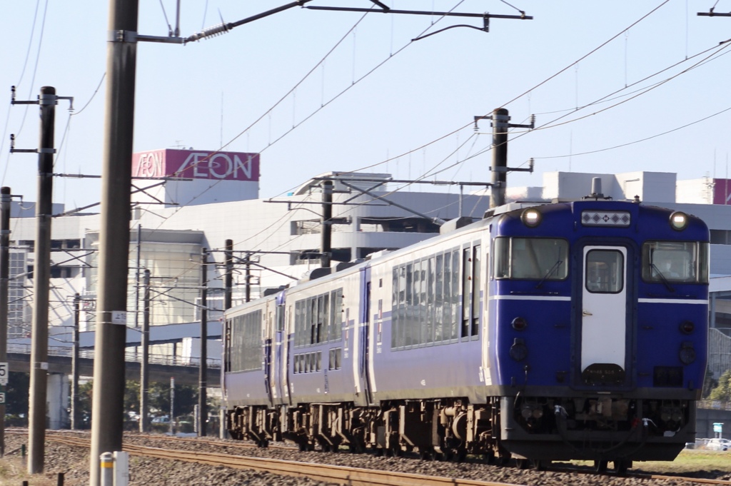 Shukura in Ibaraki 水戸線&常磐線にやって来た珍客