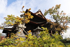 善光寺2