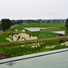 田んぼアート