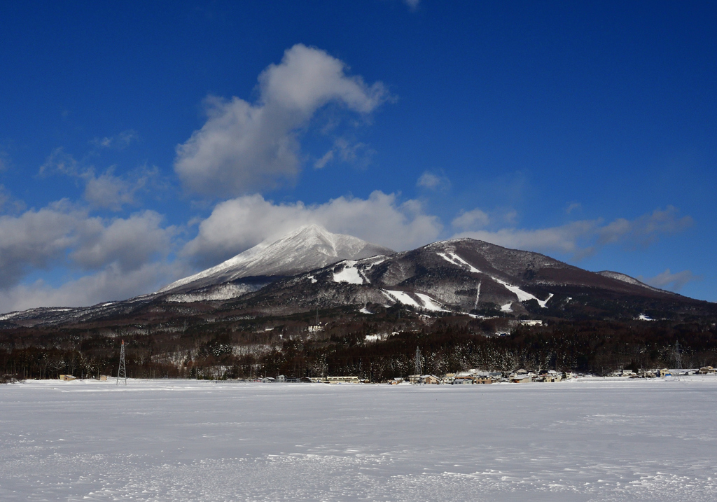 宝の山①