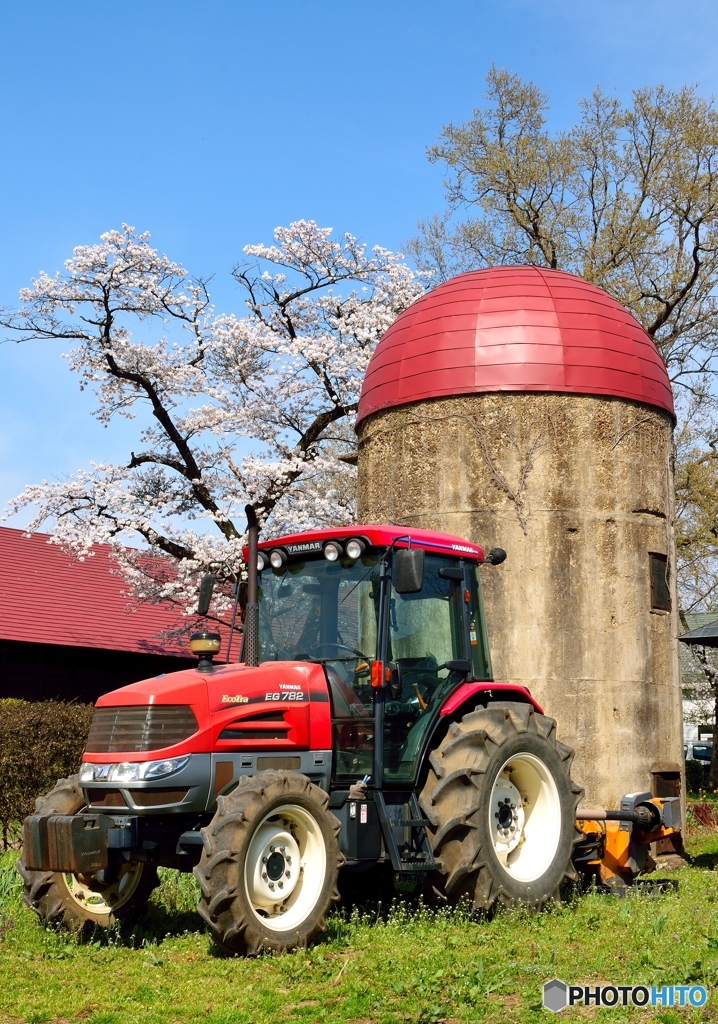 桜とサイロとトラクター