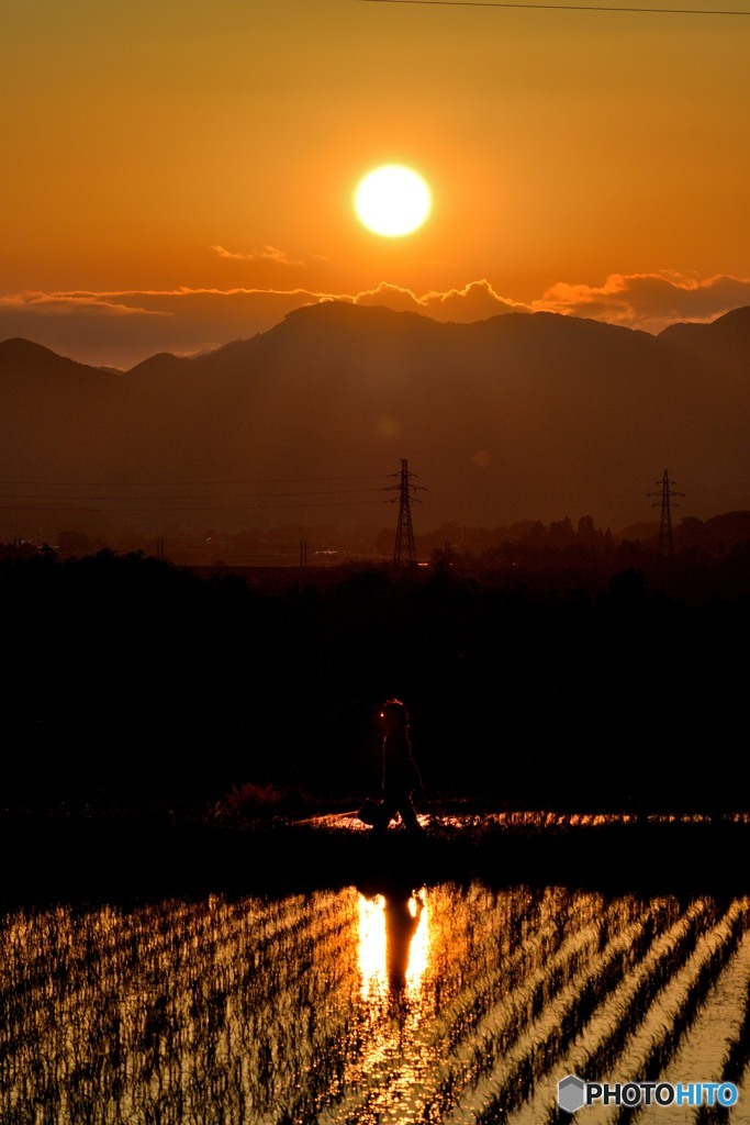 夕日
