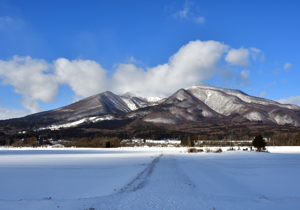 宝の山②