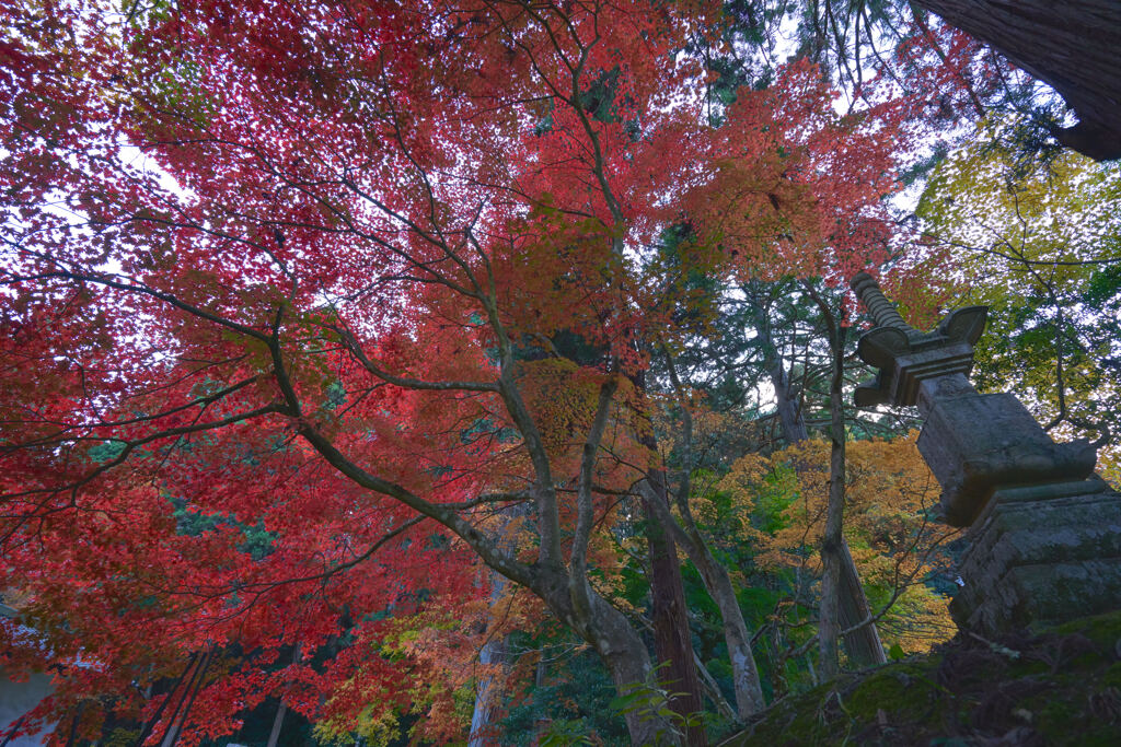 今高野山3