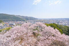 尾関山公園2