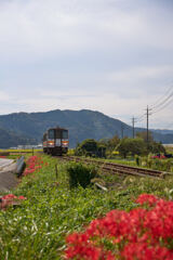 電車